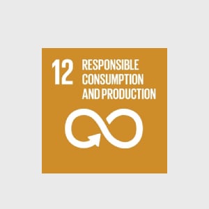 UN SDG 12