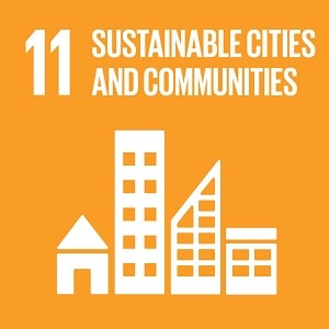 UN SDG 11